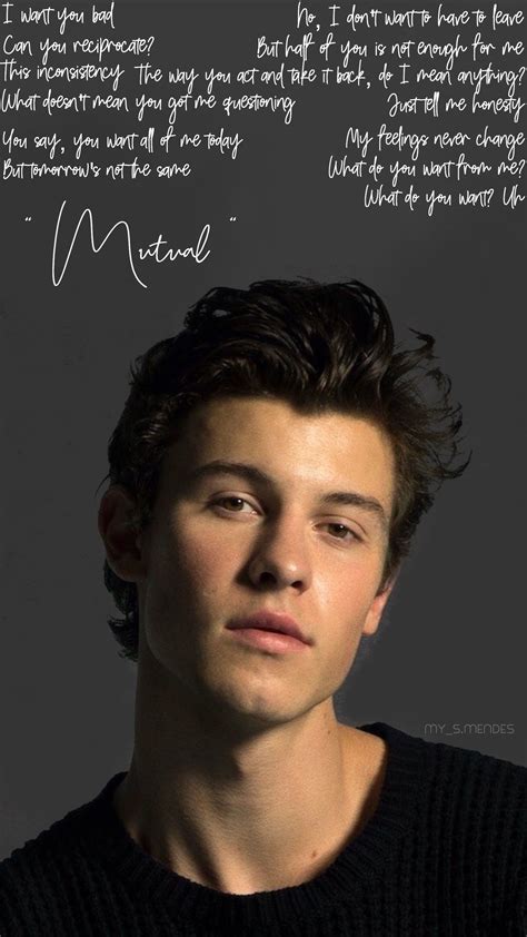 Shawn Mendes Song Lyrics Shawn Mendes Quotes Shawn Mendes Concert