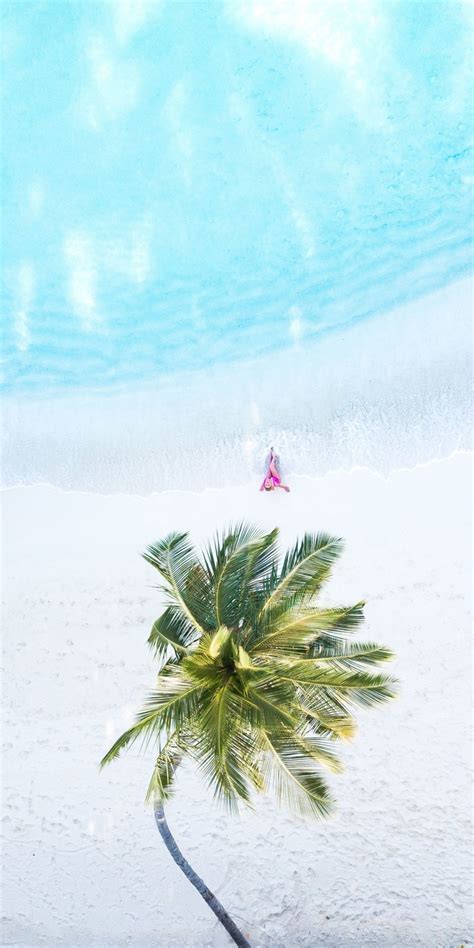 Download 1080x2160 Wallpaper Palm Tree Aerial View Beach Honor 7x