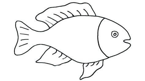 An overview can provide you with. Animals Drawing Photos | Free download on ClipArtMag