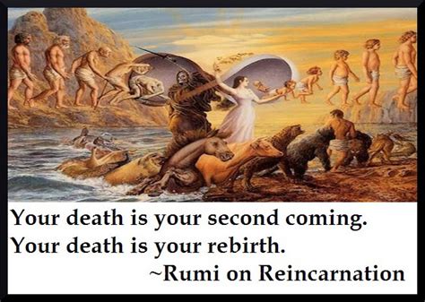 Quotes About Reincarnation And Fears Quotesgram