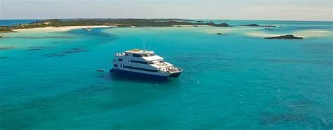 Aqua Cat Official Website Bahamas Luxury Dive Liveaboard