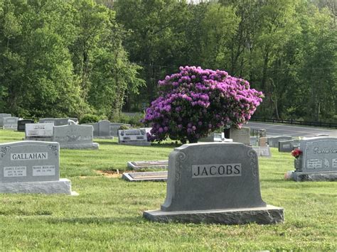 Hillsboro Cemetery In Loudoun County Virginia