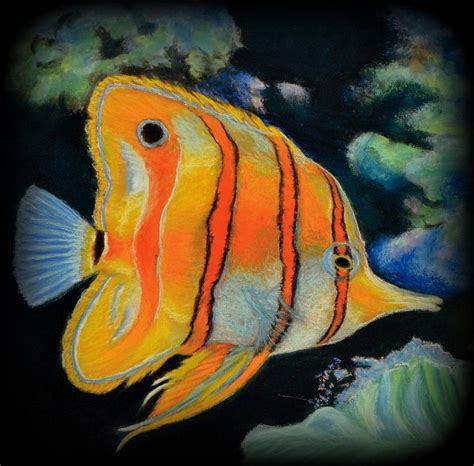 Butterfly Fish Pastel By Antonia Citrino