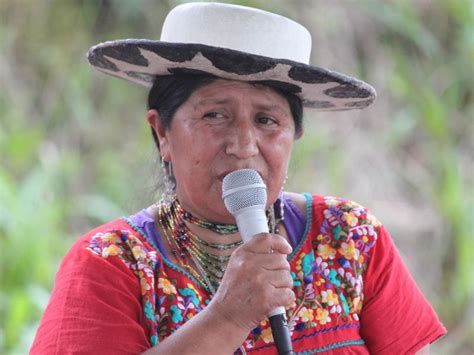 Indigenous meaning, definition, what is indigenous: AMAZON WATCH » Ecuador's Indigenous Peoples Strengthen Resolve To Protect Rights and Resources