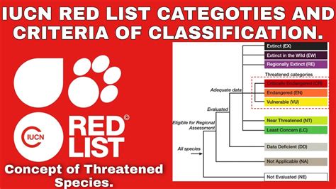 Iucn Red List Of Threatened Species And Classification Extinct
