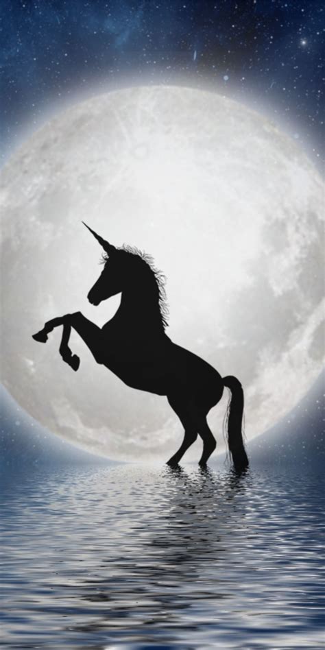 Moonlight Unicorn Wallpapers Wallpaper Cave