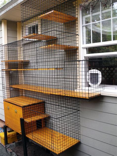 They are about 16″ tall. 10 Outdoor Cat Enclosures Ideas in 2020 | Outdoor cat enclosure, Cat patio, Cat fence