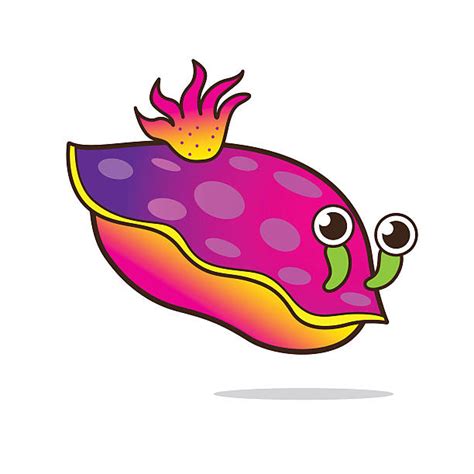 Royalty Free Sea Slug Clip Art Vector Images And Illustrations Istock