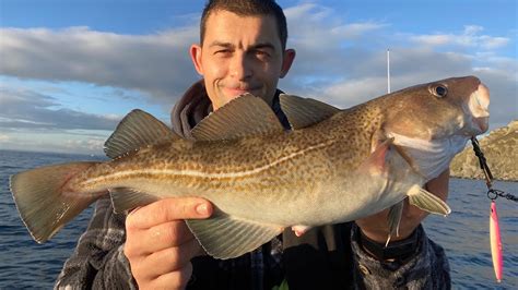 Winter Fishing For Cod Bass And Pollack With Lures Sea Fishing Uk