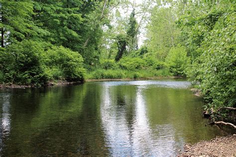 Free Images Tree Creek Lake Pond Stream Peace Waterway Body Of