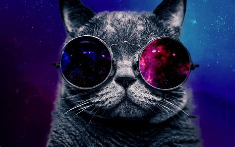 Space Galaxy Cat With Glasses Page 2 Pics About Space