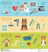 Pet Care Vet Clinic
