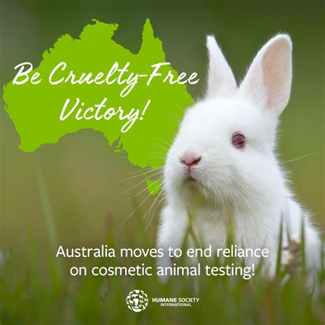 Breaking Senate Bill To Outlaw Animal Testing For Cosmetics In Canada