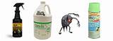 Images of Bed Bug Control Pesticides