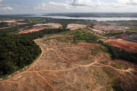 Deforestación De La Amazonía Supera En Tamaño La Superficie De Puerto