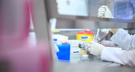 Maßnahmen gegen die ausbreitung des coronavirus. Corona-Verordnung Datenverarbeitung verkündet ...