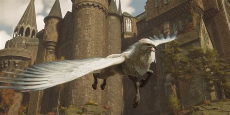 How To Get All Ground And Flying Mounts In Hogwarts Legacy