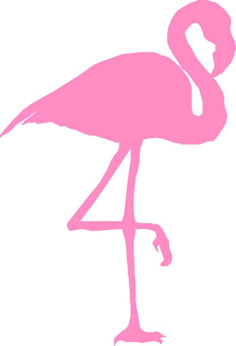 Flamingo Vogel Silhouette Kostenlose Vektorgrafik Auf Pixabay