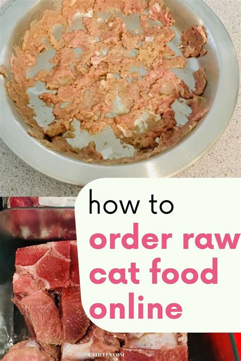 Plus discounts!the best raw cat food brands have. Best Raw Cat Food Delivery Service Companies 2021 - CATICLES