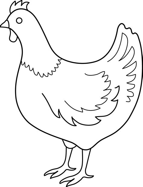 Chicken Drawing Outline At Getdrawings Free Download