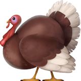 Easily copy and paste android and iphone emoji into twitter, gmail, or facebook. Turkey Emoji Meaning with Pictures: from A to Z