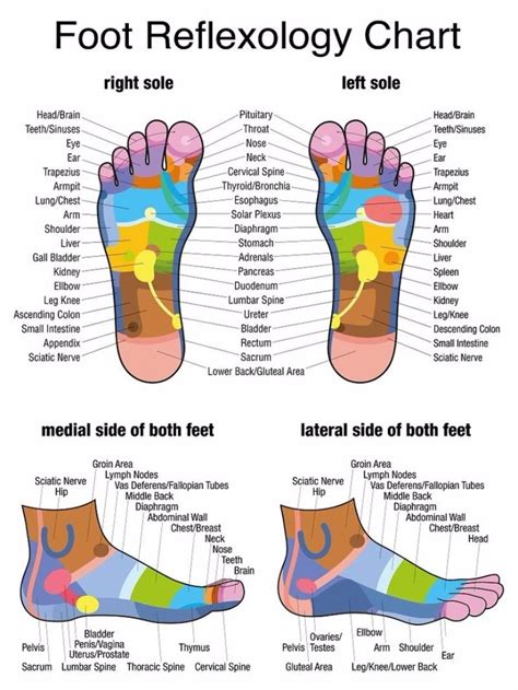 Printable Reflexology Foot Chart Customize And Print