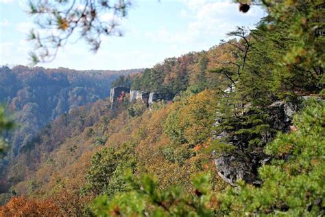 The 5 Best Hikes In West Virginia For Amazing Views West Virginia