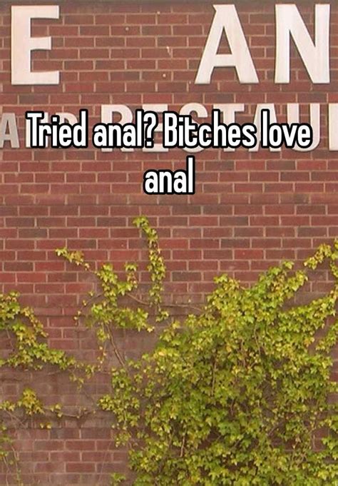 Tried Anal Bitches Love Anal