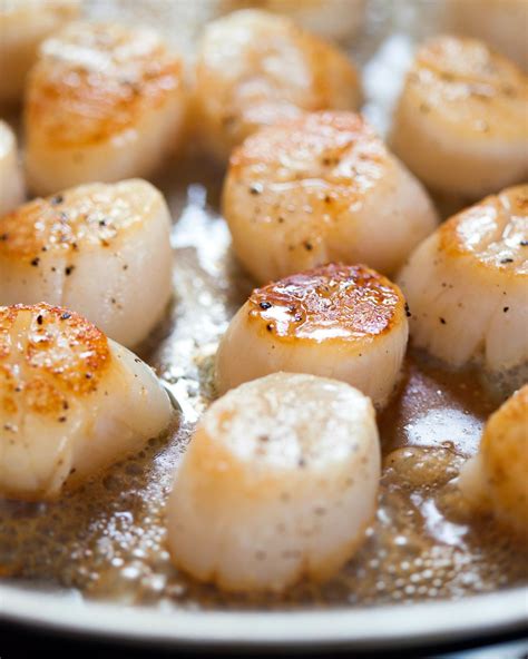 How To Cook Scallops On The Stovetop Recipe How To Cook Scallops