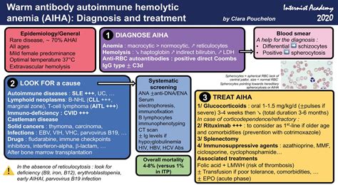 Autoimmune Hemolytic Anemia Blood Smear