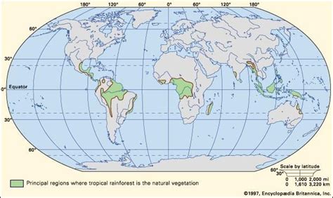 Tropical Rainforest Longitude And Latitude Location And Climate