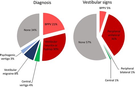 Frontiers Validation Of The Italian Version Of The Dizziness Handicap