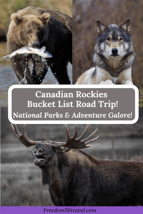 vancouver to banff drive easy canadian rockies itineraries artofit