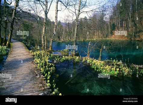 A Wooden Pathway At Plitvice Lakes National Park An Unesco World