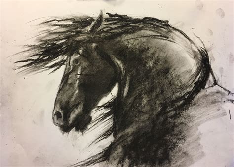 Horse Sketch Charcoal Cavalli