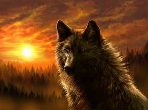 47 Animated Wolf Wallpaper
