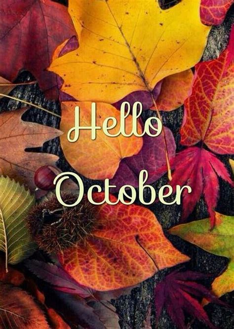 60 Hello October Images Pictures Quotes And Pics 2022 Hello
