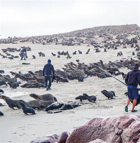 Ocean Conservation Namibia