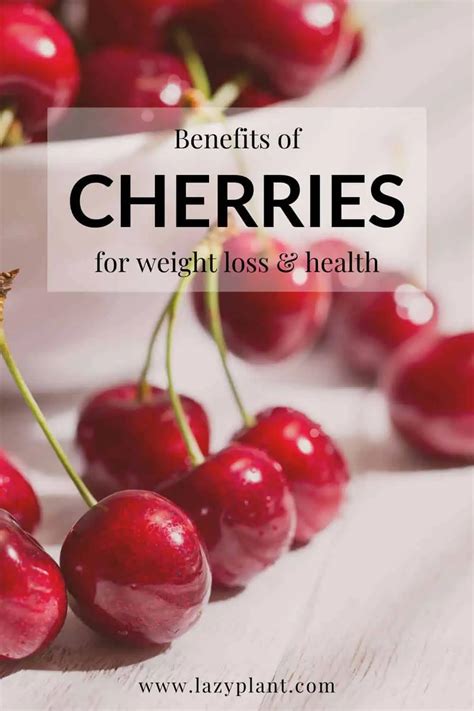 Benefits Of Eating Cherries In The Morning Lazyplant