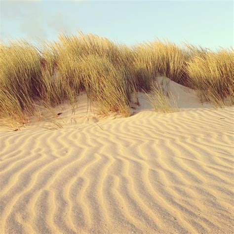 Early Morning At Beach Photograph By Jodie Griggs Fine Art America
