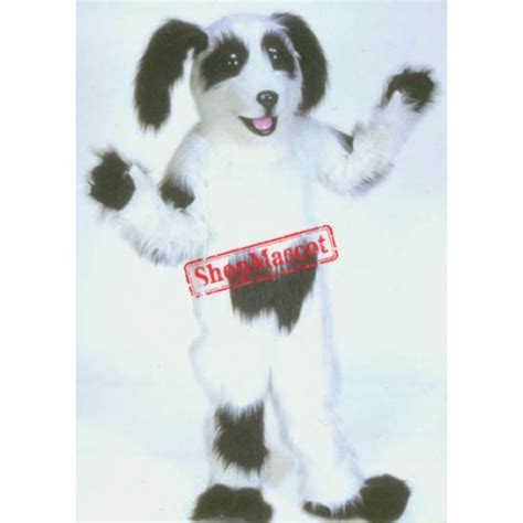 Tri colour shaggy dog, shaggy dog, dog, black, brown, white, happy dog, st bernard. White & Black Shaggy Dog Mascot Costume