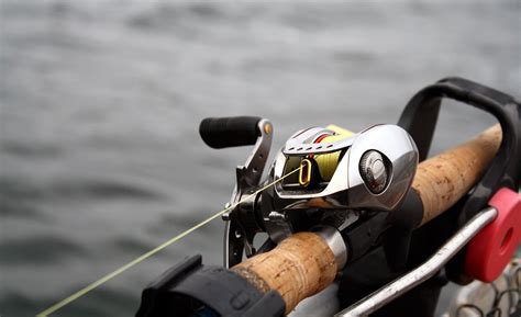 Best Baitcasting Reel For Saltwater Reviews Buying Guide