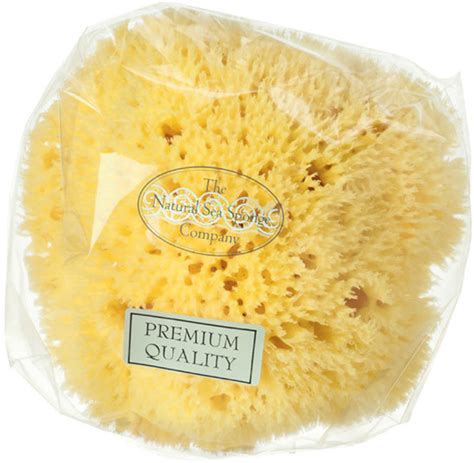 Hydrea London Medium Honeycomb Natural Sea Sponge Shopstyle Skincare