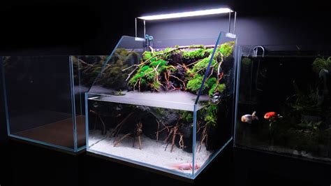Making A Waterfall Paludarium Aquaterrarium For My Axolotl Md Fish