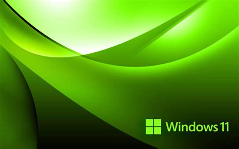 Download Free Windows 11 Green Wallpaper