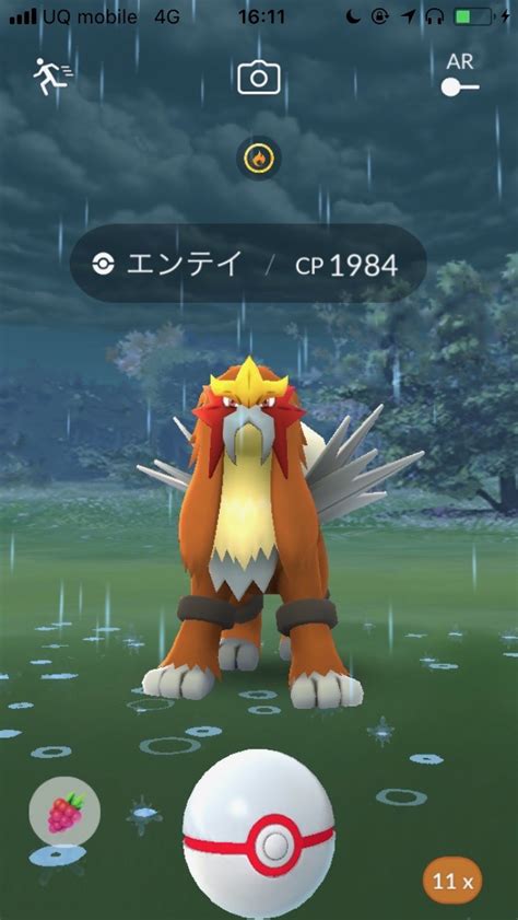 For items shipping to the united states, visit pokemoncenter.com. 【ポケモンGO】伝説3犬スイクン・ライコウ・エンテイ色違い ...