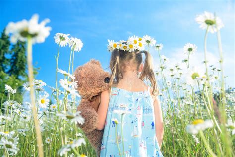 Girl With Her Teddy Bear Walking In Field Of Daisies Stock Photo