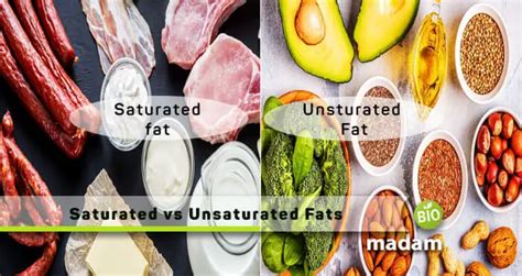 Difference Between Saturated And Unsaturated Fats Biomadam