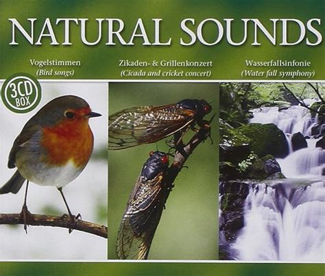 Natural Sounds Uk Music