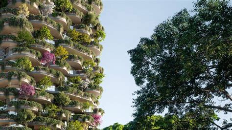 Brisbane Urban Forest May Not Be As Sustainable As It